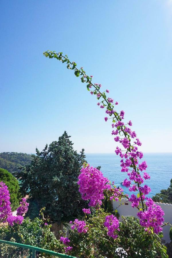 Casa Olive Holiday home