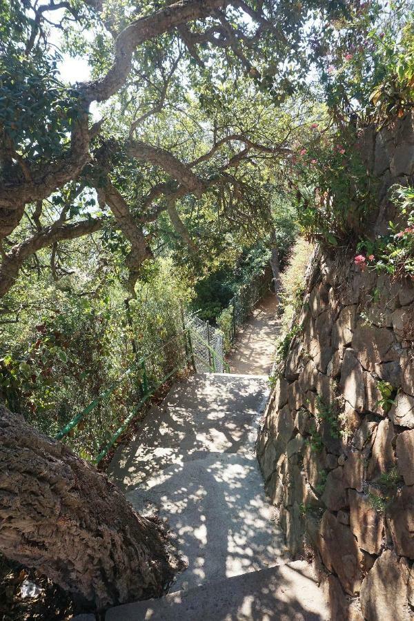 Holiday home Casa Olive Lloret de Mar