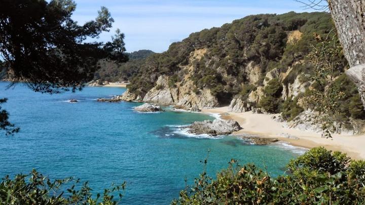 Al15 - 1 Familias A 300 M Playa Fenals *