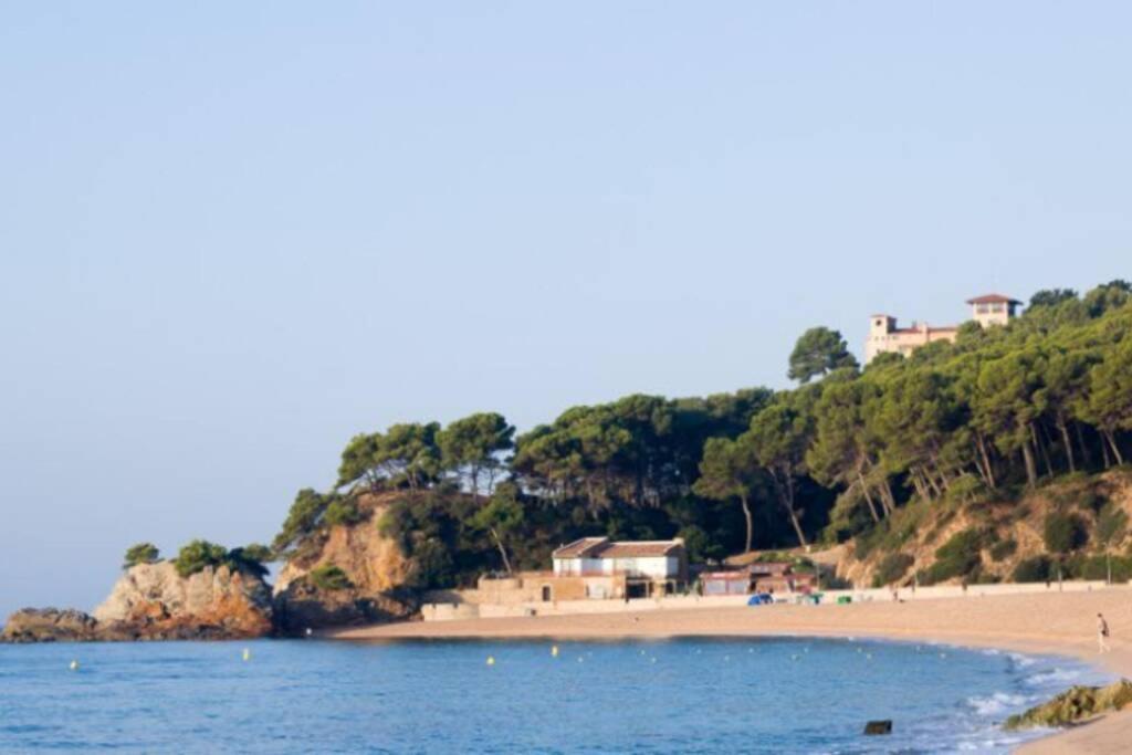 Fenals 100m Appartement