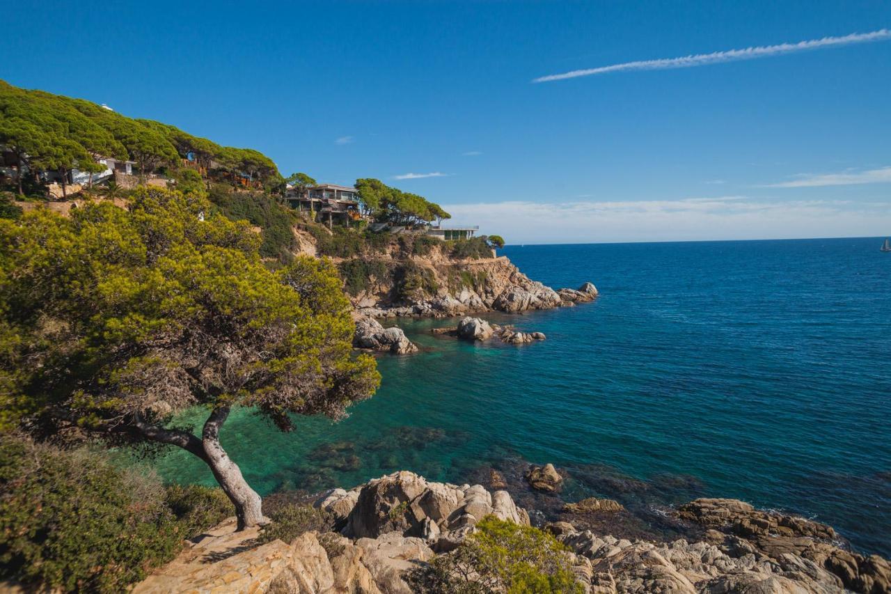 Apartment Comfortable With A Swimming Pool, 250m To The Sea.