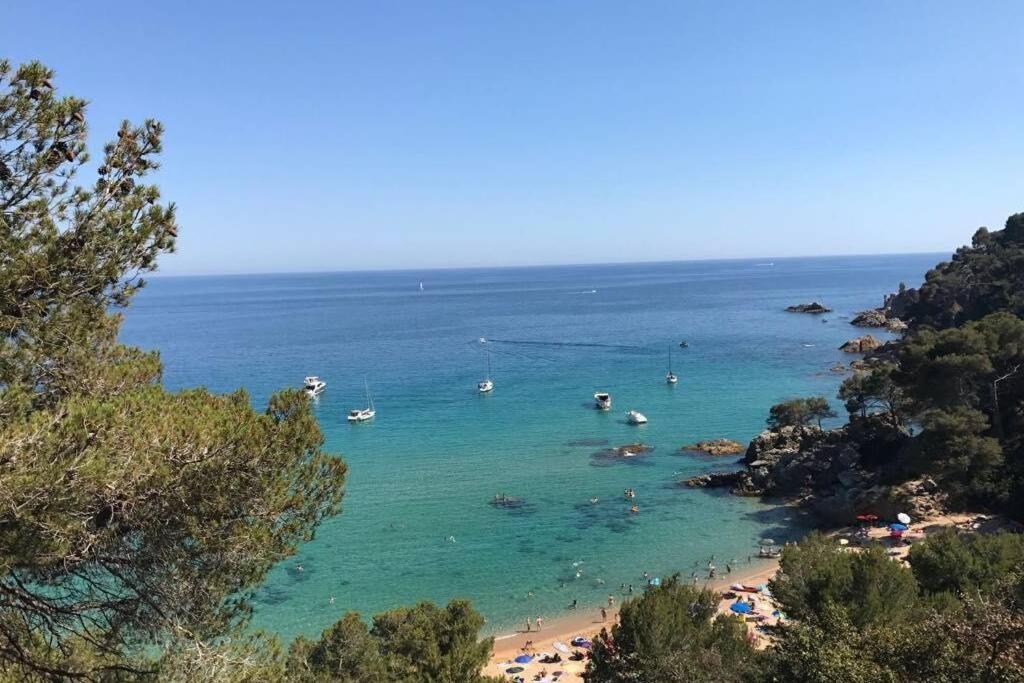 Loft Zona Fenals, Lloret De Mar. Apartment *