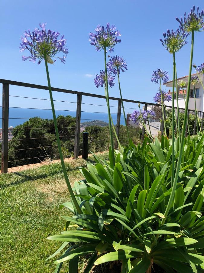 Oasis Costa Brava *
