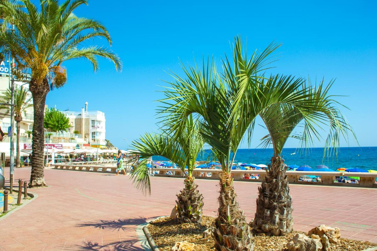 Apartment Al36 - De Lujo A 100 Metros De Playa Lloret de Mar