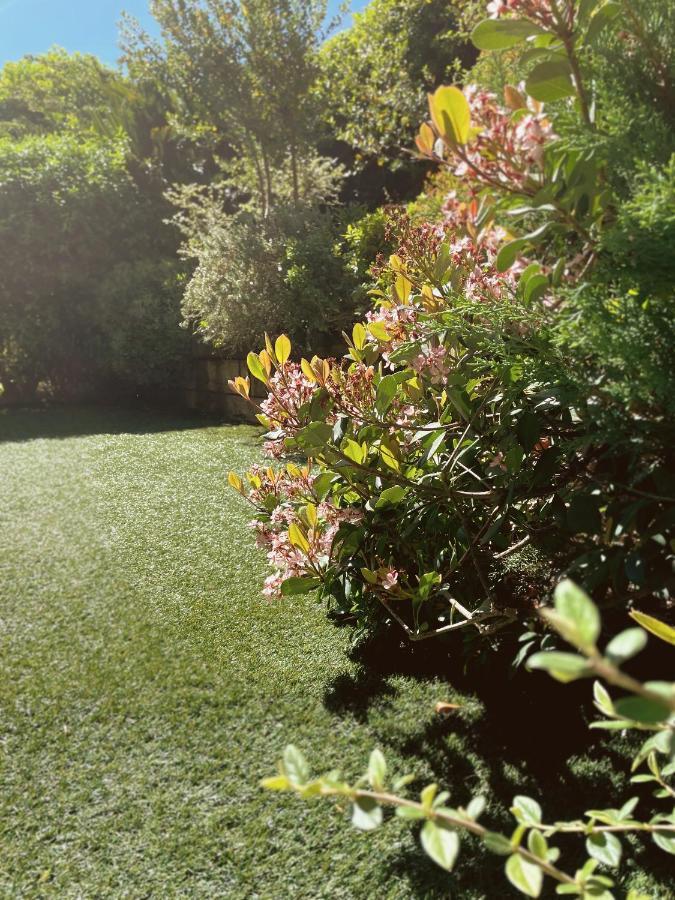 Pretty Garden Next To A Charming Apartment