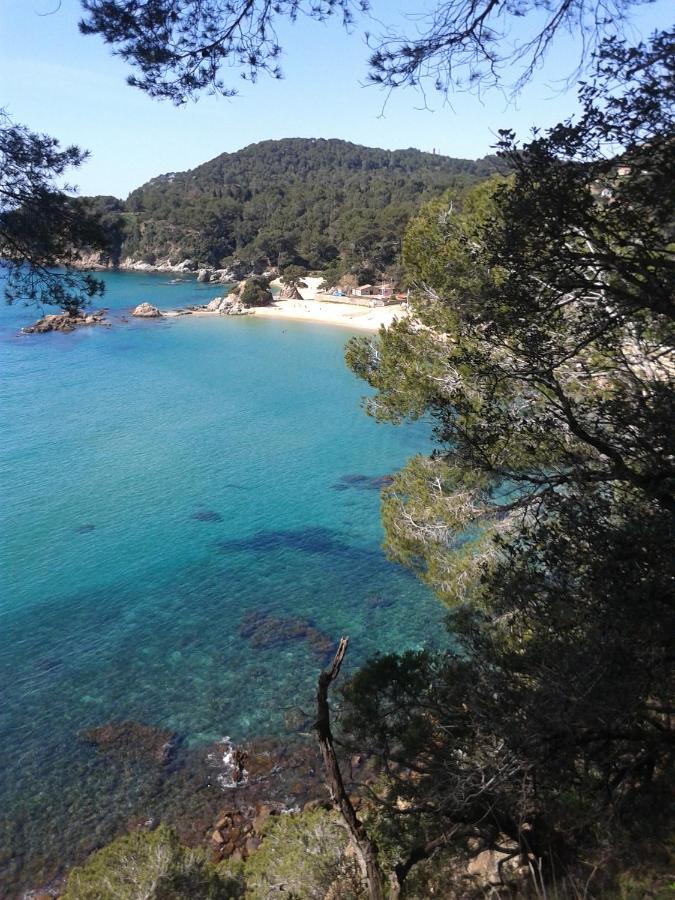 Sa Boadella Beach, - Costa Brava Appartement Lloret de Mar