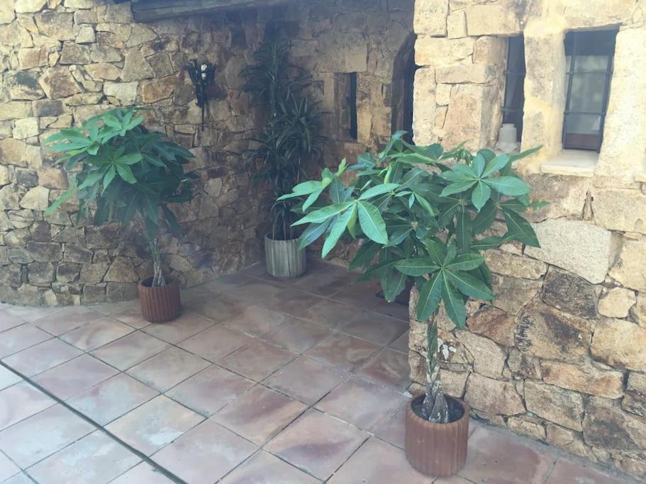 Mitjorn Cala Canyelles Villa *