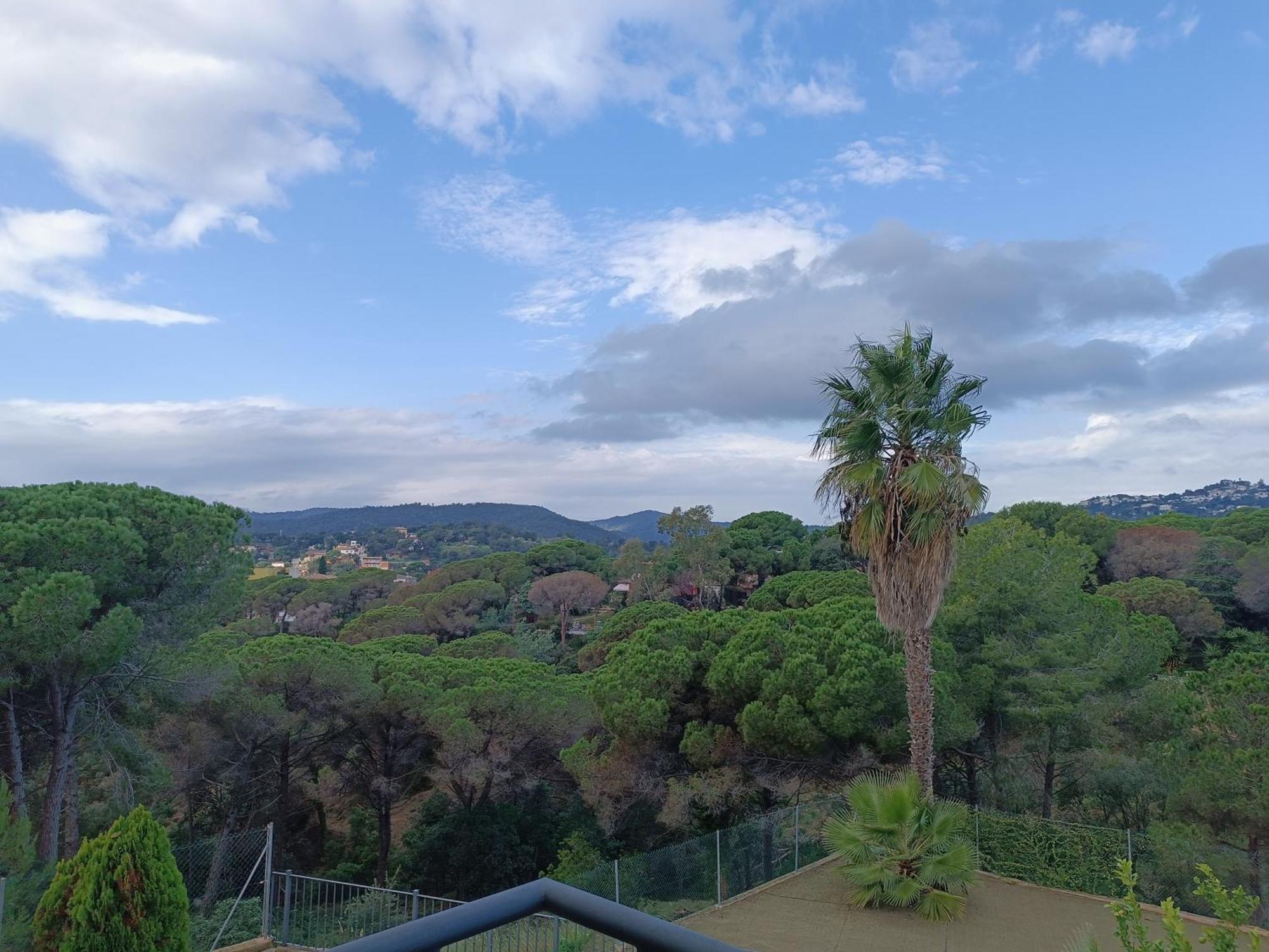 Galicia Lloret de Mar