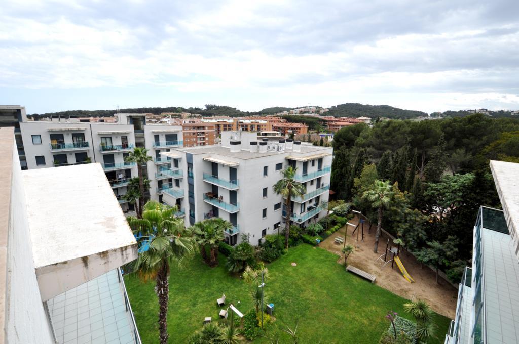 Mariposa Lloret de Mar