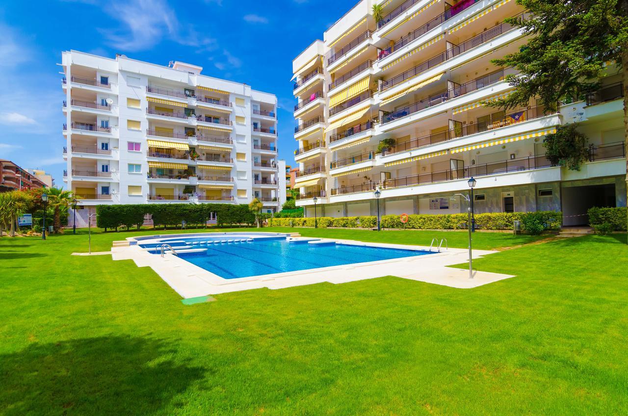 Alva Park Apartment