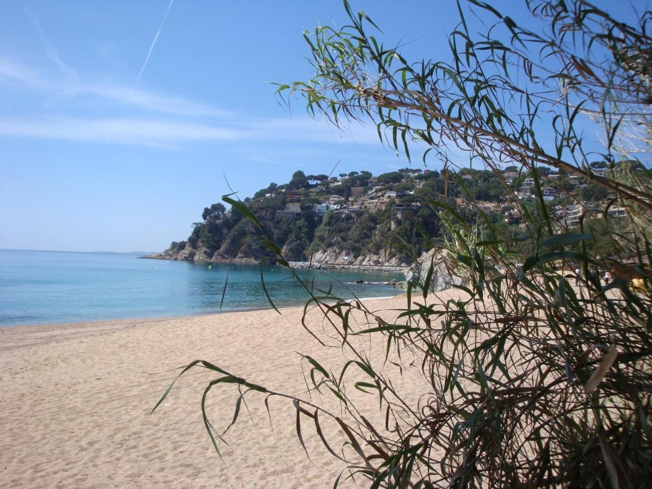 Papaya Lloret de Mar