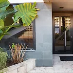 Parrot`s House Fenals
