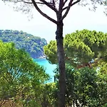 Cirici
