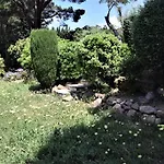 Flamenco