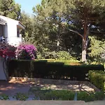 Levantina 10