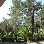Torre