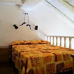 Loft Kiwi