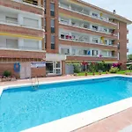 Palmeras 1