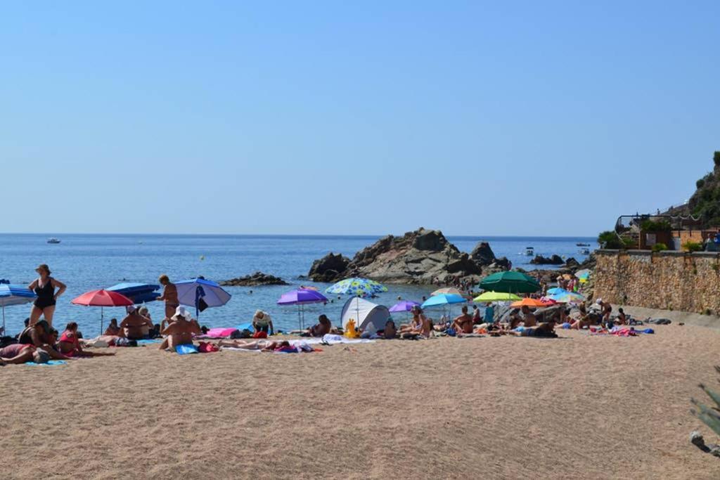 Apartamento- Estudio Aloe Apartment Lloret de Mar