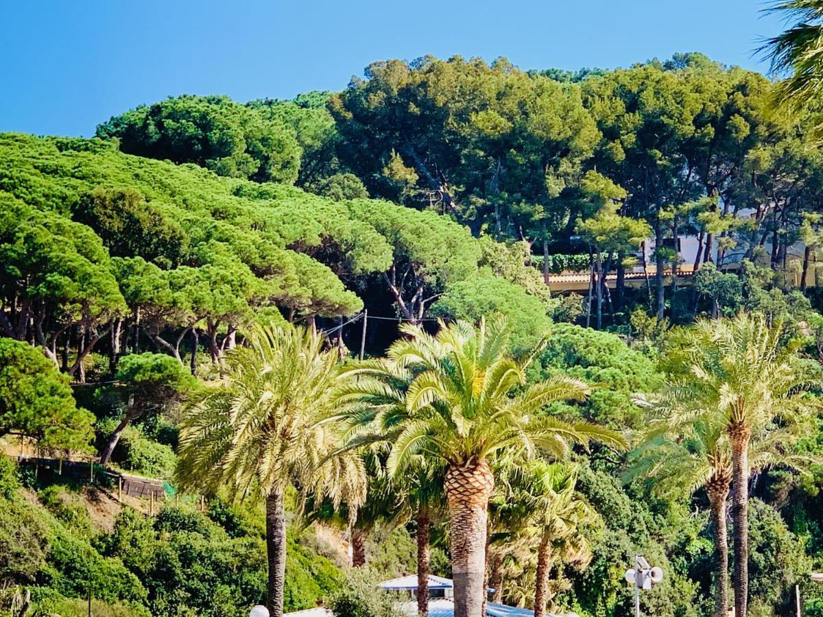 Modern And Design Studio Near The With Large Swimming Pools Lloret de Mar