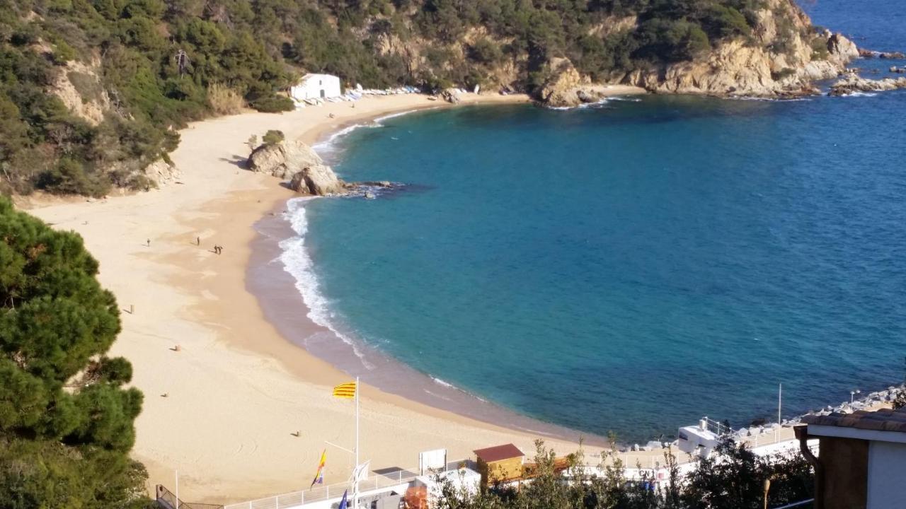 Leeloo - Location Maitikoa *