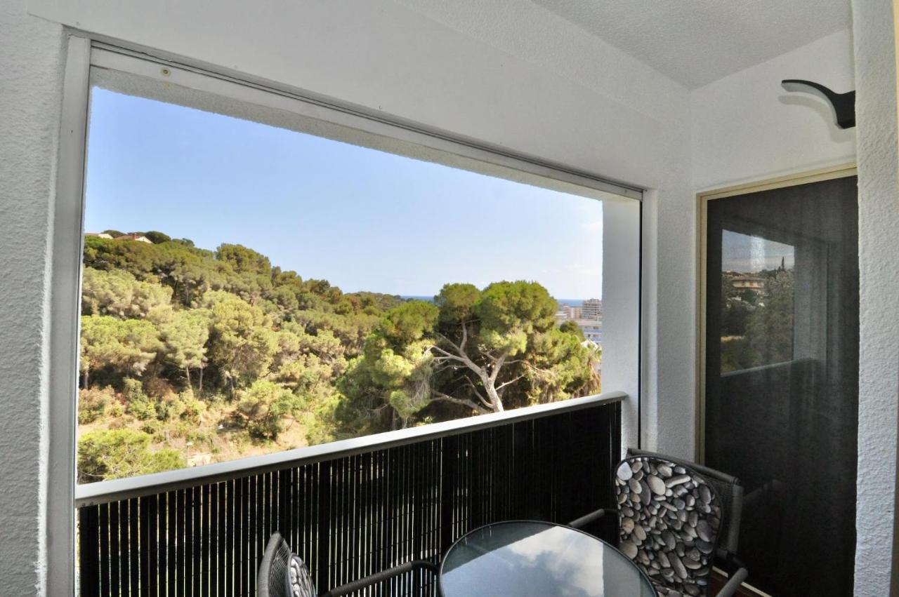 Apartment Cesar *