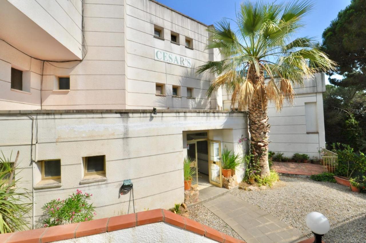 Apartment Cesar