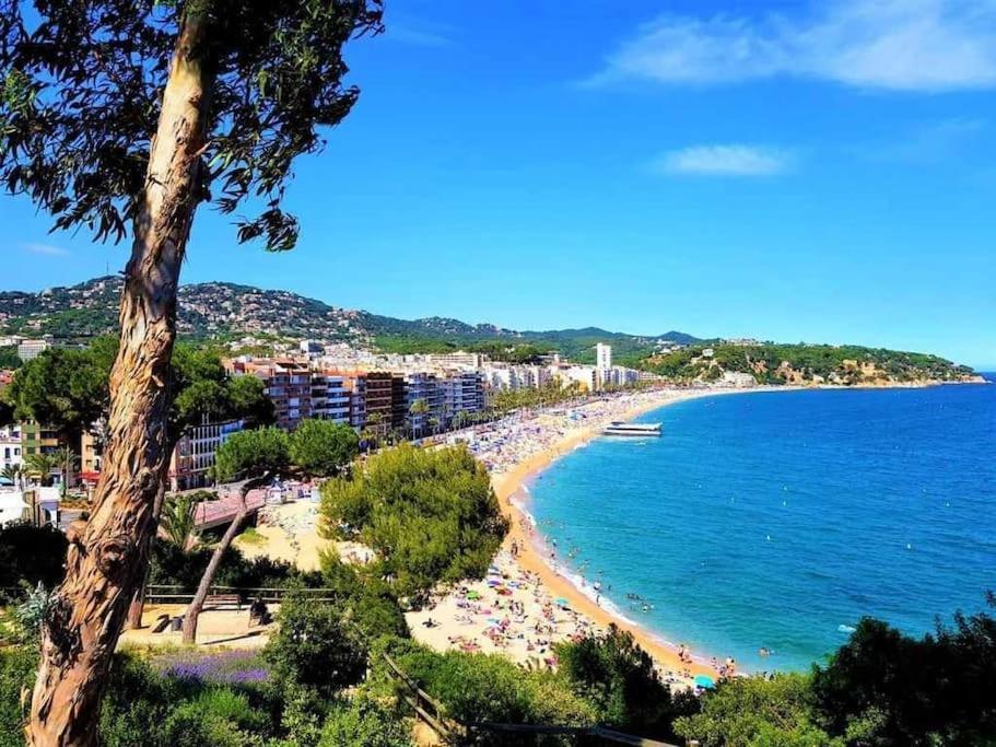 Lujoso A 1a Linea Del Mar Lloret de Mar