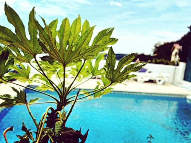 Villa Mas Blau Mar