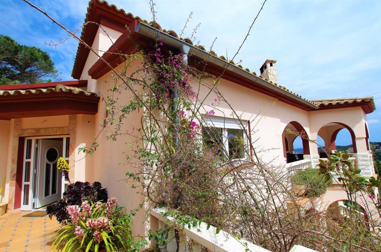 Villa Christine: Luxurious 17-person With Pool And Barbecue *