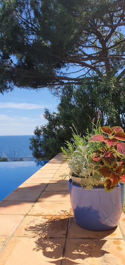Villa Al Lado Del Mar 