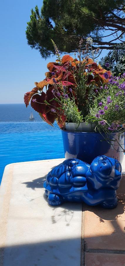 Villa Al Lado Del Mar 