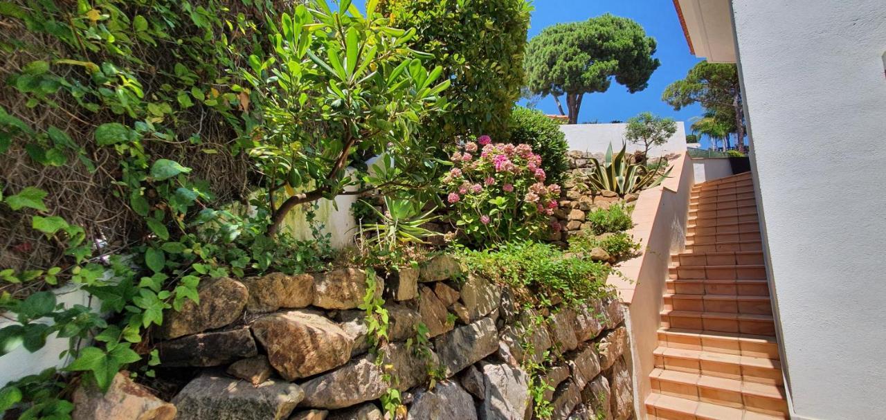 Villa Al Lado Del Mar 