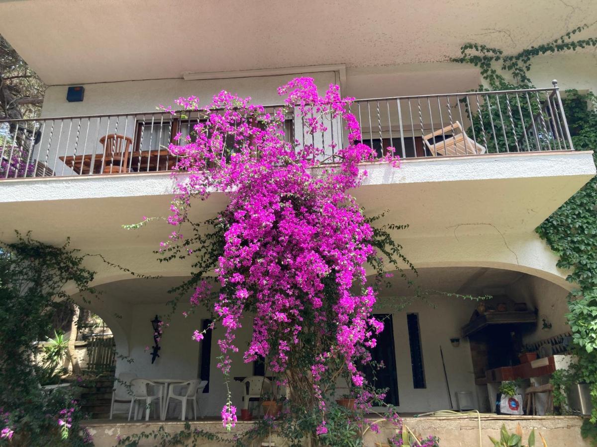 Appartement La Casa Bonita *