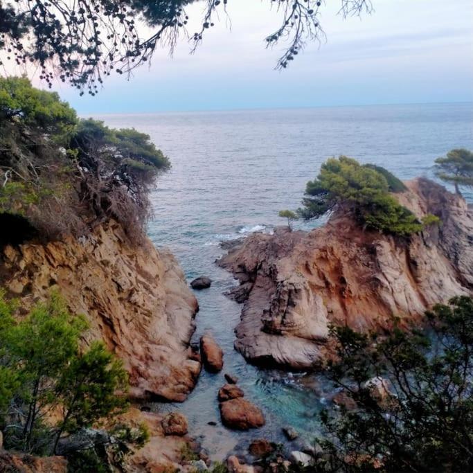 Tres Palmeras - Parking Privado Apartamento Lloret de Mar