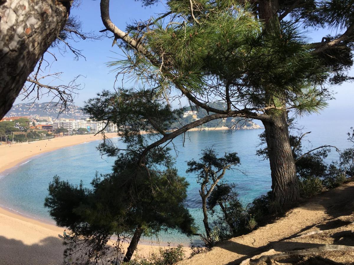 Vivalidays Elia - Fenals - Lloret de Mar