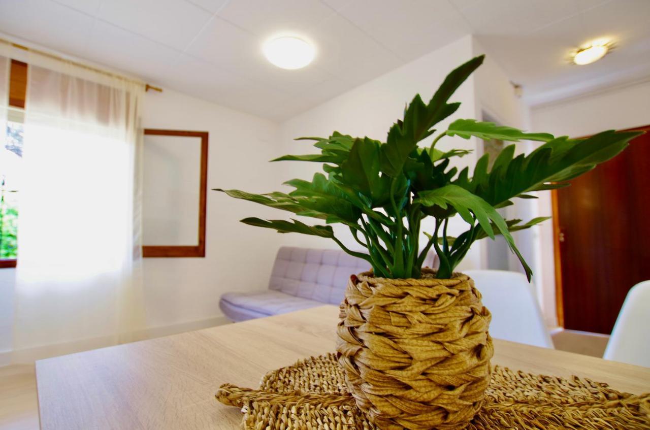V&v Lloret: Garden With Pool, 150m From Canyelles