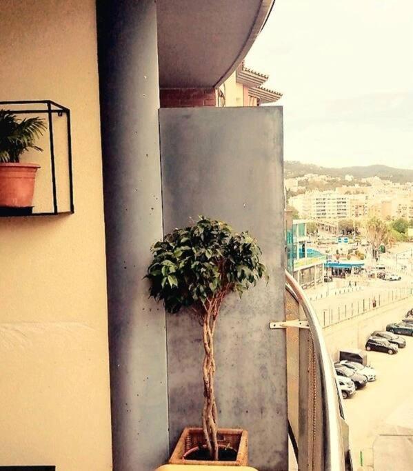 Appartement Apto Entero 1 Hab En El Centro, Cerca De La Playa Lloret de Mar