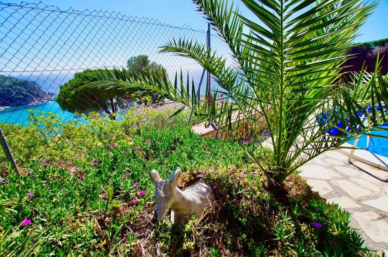 V&v Lloret: Mediterranean With Panoramic Sea Views
