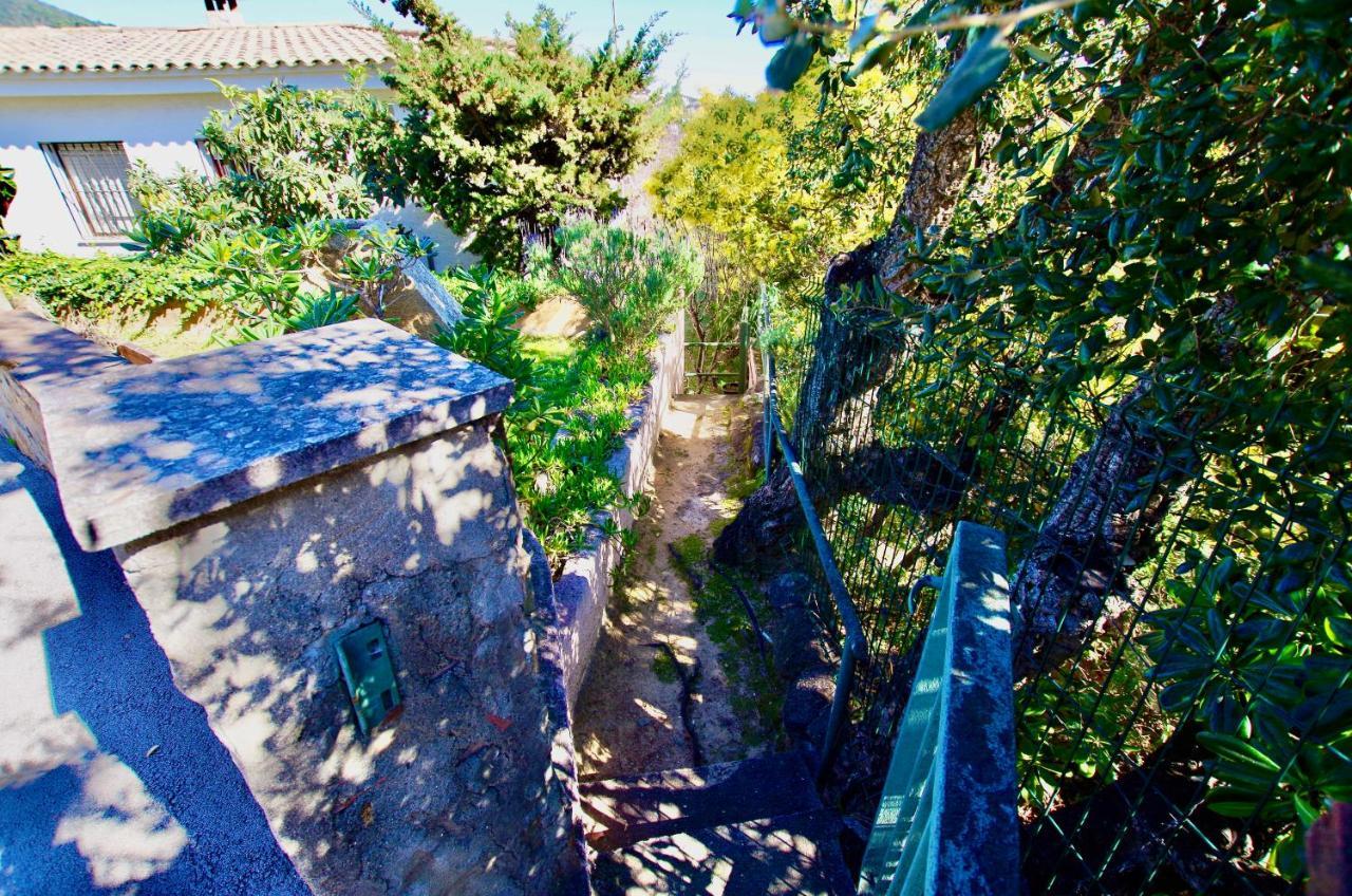 V&v Lloret: Garden With Pool, 150m From Canyelles Apartment