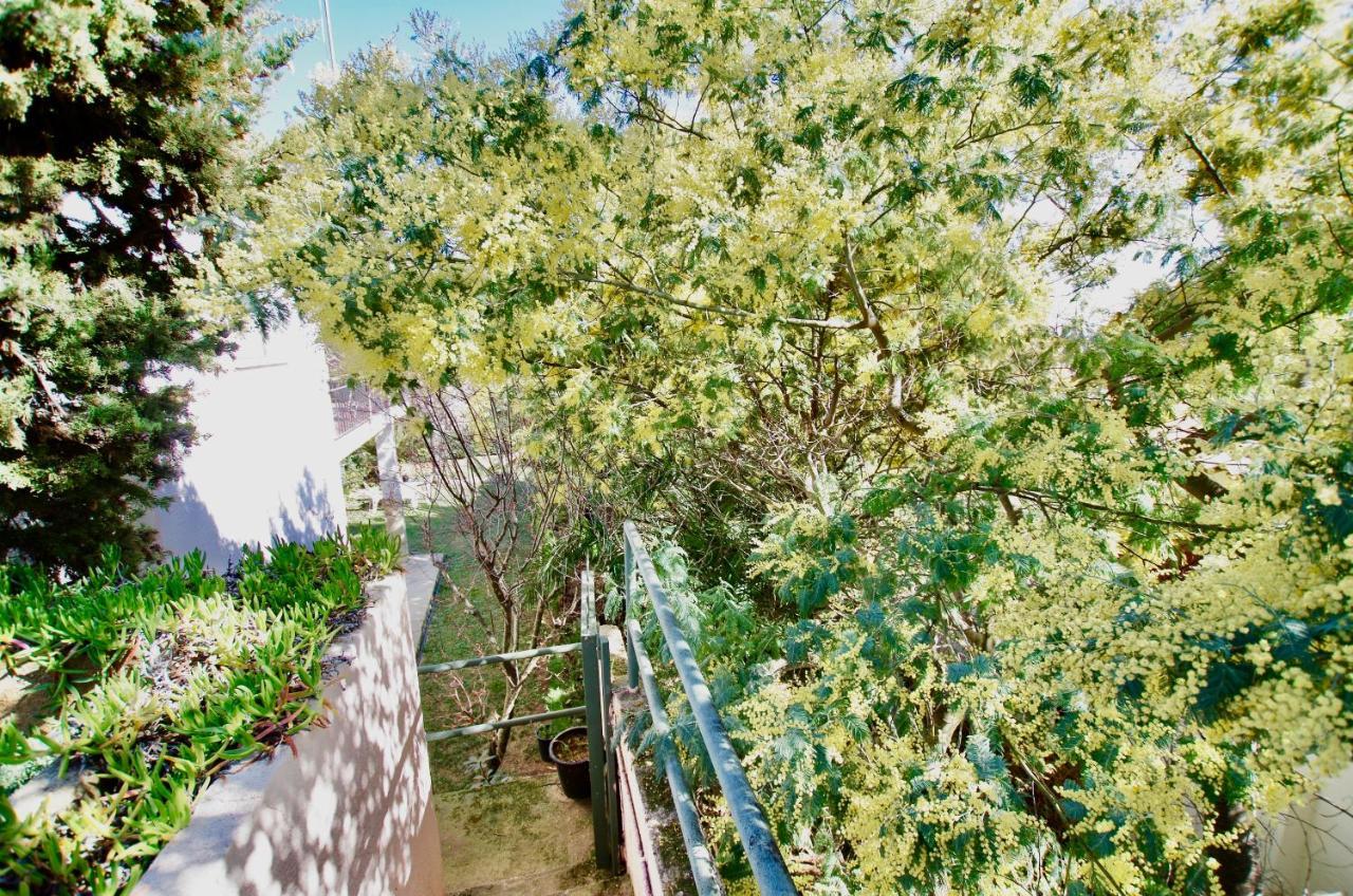 V&v Lloret: Garden With Pool, 150m From Canyelles Apartment *