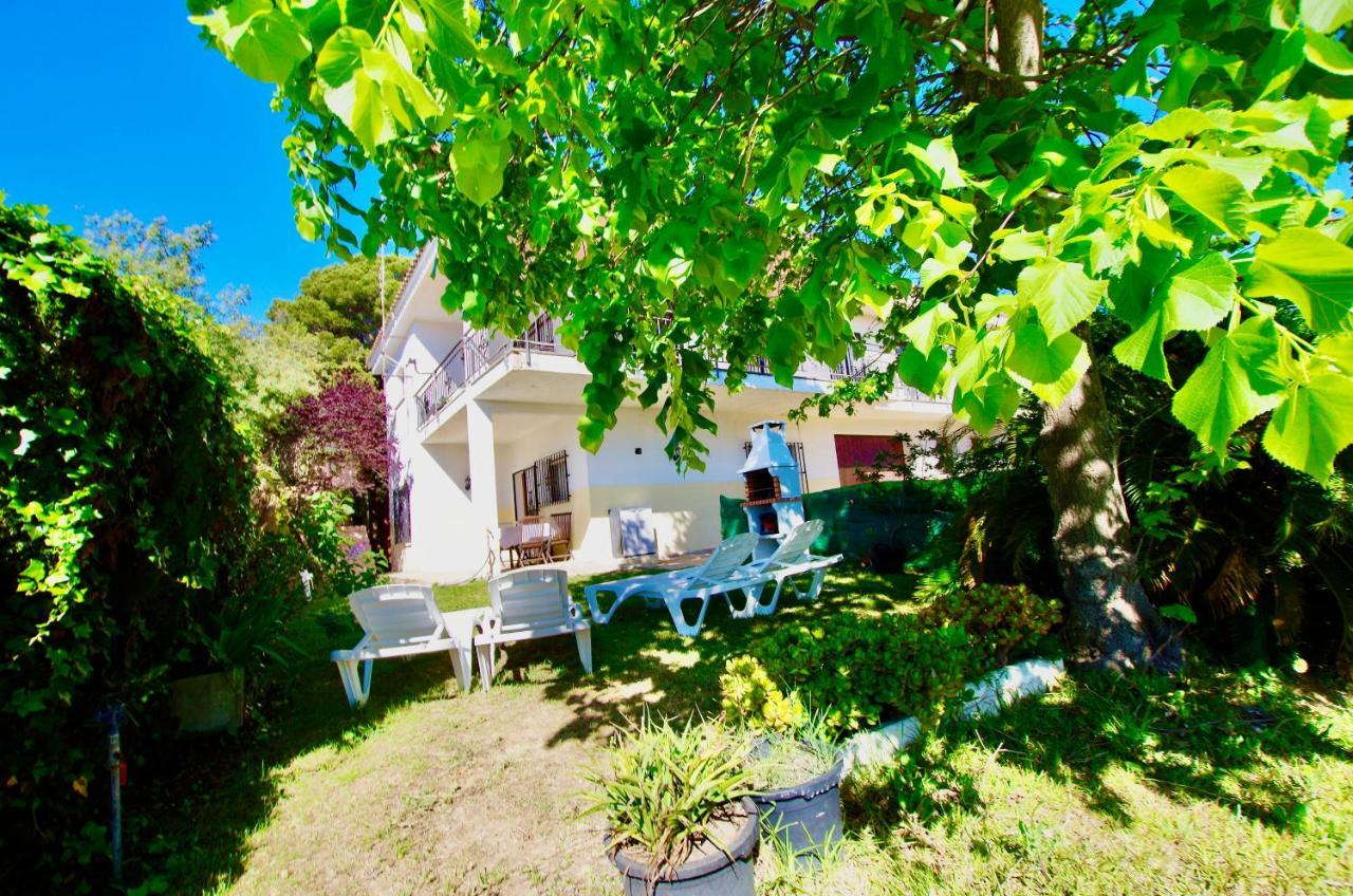 V&v Lloret: Garden With Pool, 150m From Canyelles Apartment Lloret de Mar