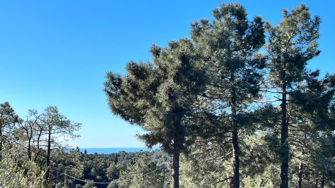 Paradise Lloret Gasthof