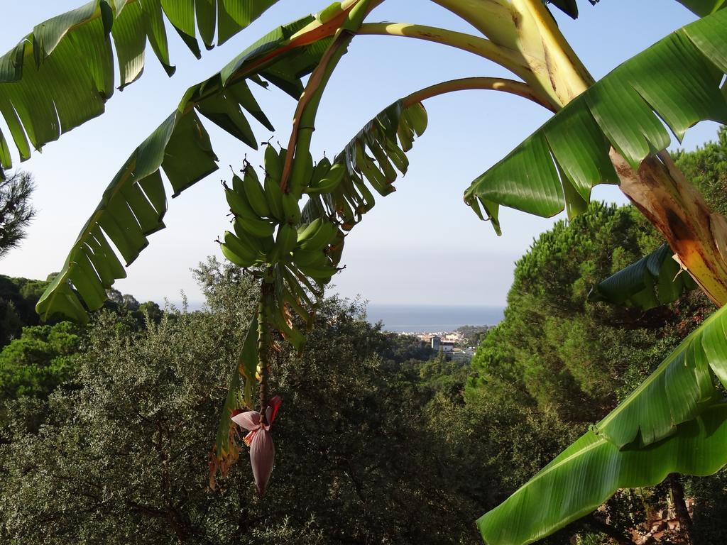 Casa Con Vistas Al Mar Y Piscina Privada * Lloret de Mar