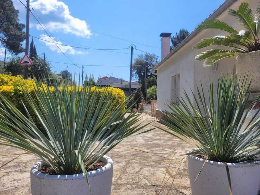 Casa Felic Lloret de Mar