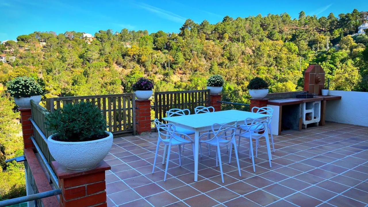 Paradise Lloret *