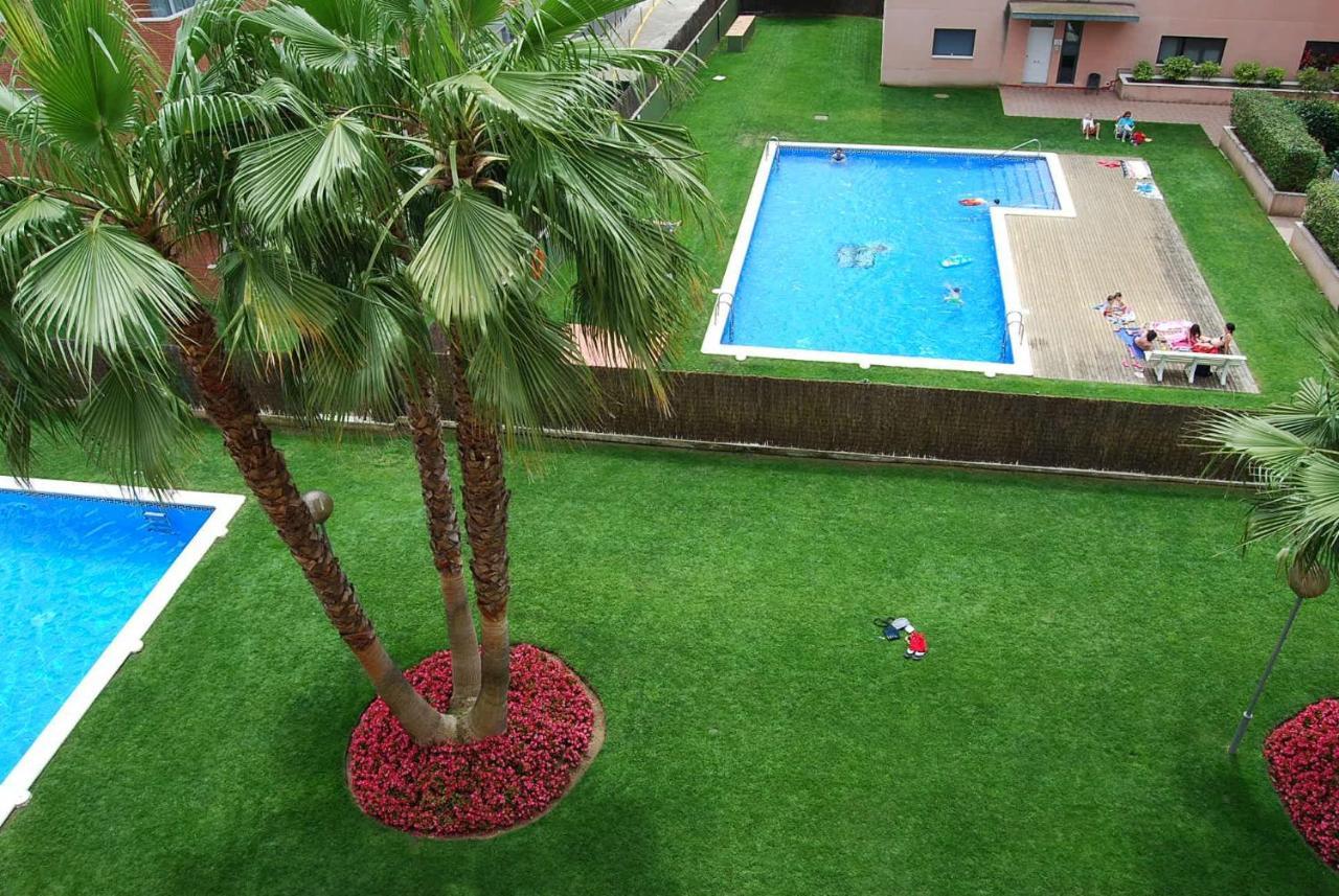 Appartement Camelia