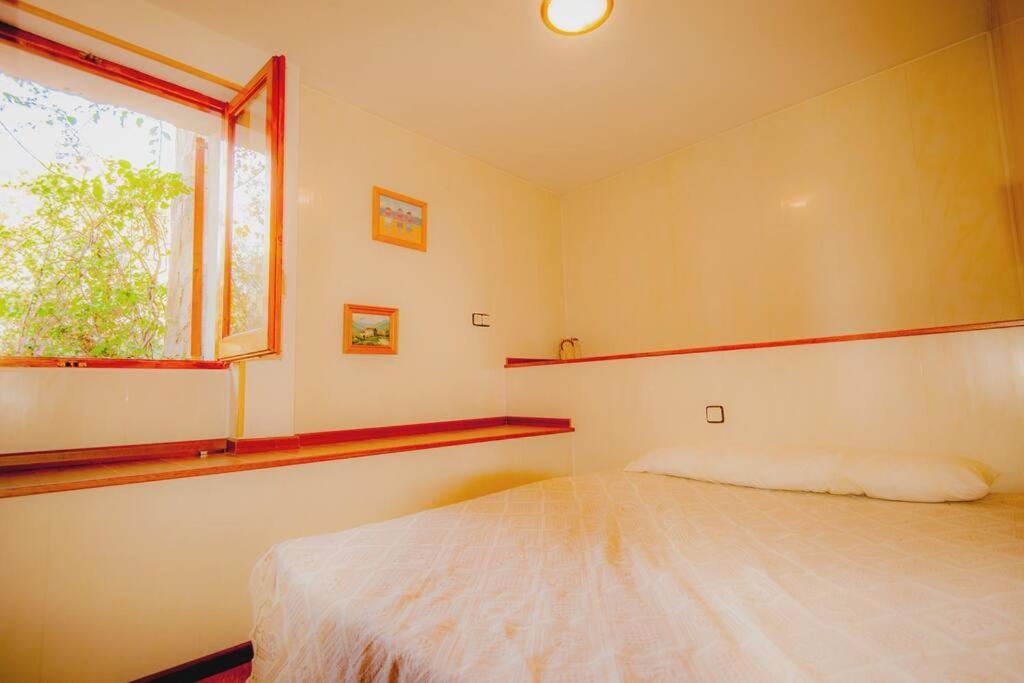 Fluvia: Swimming-pool, Seaview, 1200m Center And Villa