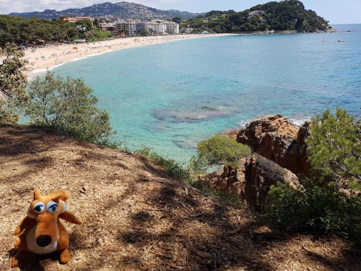 Residential Flat * Lloret de Mar