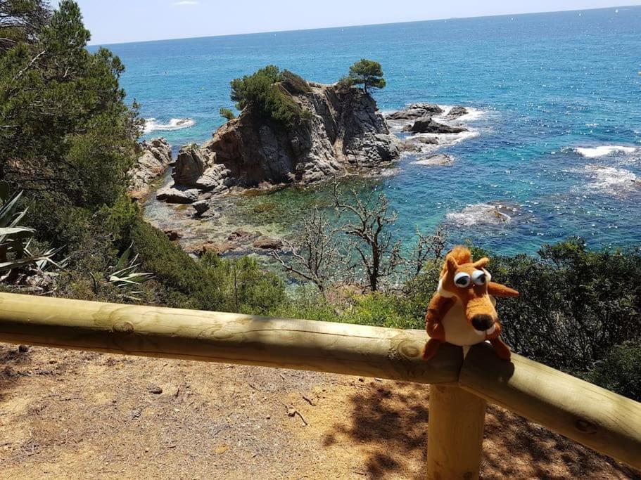 Apartment Residential Flat Lloret de Mar